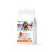 Quattro Dry food for dogs of the breed Irish setter turkey 12kg