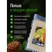 Cleaned pine nuts of the highest grade packaging 1000 grams - Buy Online on GoSupps.com