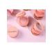 Palette 3 in 1 highlighter blush contouring - Buy Online on GoSupps.com