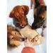 Gobleen Zoomark Duck paws 7 pcs of dog treats - Buy Online on GoSupps.com
