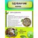 Altai Casket Dandelion root crushed 100g - Buy Online on GoSupps.com