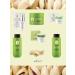 Belita Pistachio Feature cream "Daily nutrition and rejuvenation" - Buy Online on GoSupps.com