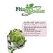 PHYTOAPTHECARIAN Artichok grass 250 gr - Buy Online on GoSupps.com