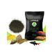 APPENS Spirulina Granulat 1.2-1.8 100gr-feed with spirulina - Buy Online on GoSupps.com