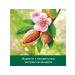 ABAZZILLA 1 pcs shampoo 450 ml Palmolive Natural almonds for dry p - Buy Online on GoSupps.com