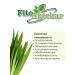 PHYTOAPTHECARIAN Lemongrass grass 500 grams - Buy Online on GoSupps.com