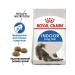 ROYAL CANIN Dry food Indoor Longhair for cats living at home 2 kg - Buy Online on GoSupps.com
