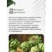 RESTARTBIO Healthy liver Cleaning and restoration of 60 capsules - Buy Online on GoSupps.com
