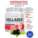 BioTechUSA Collagen Collagen 300g Black