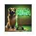 Rica Rubber Barani Made of Dogs 100gr - Buy Online on GoSupps.com