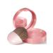 Bourjois Blusher Blue Blings 95 Rose de Jaspe - Buy Online on GoSupps.com
