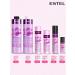 ESTEL Shampoo 18 Plus for hair care 250 ml - Buy Online on GoSupps.com