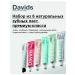 David's Toothpaste Set of natural dental pastes Davids USA (for a year)