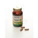 Shiffa Home Aksu Vital Ginkgo bilobe T rkiye Feces for memory and brain - Buy Online on GoSupps.com