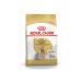 Royal Canin Dry food for the Yorkshire Terrier - Buy Online on GoSupps.com