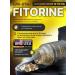 Epic Labs Fitorine GW-0742 60 capsules 10 mg - Buy Online on GoSupps.com