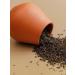 WeiserHouse Tea to the Assam "Indian Night" 250 grams - Buy Online on GoSupps.com