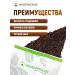 WeiserHouse Tea to the Assam "Indian Night" 250 grams - Buy Online on GoSupps.com