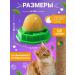 ZOO MARKET Lollice for cats 2 pcs - Buy Online on GoSupps.com