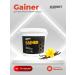 Gainer for gaining mass vanilla 1 kg