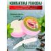 Mitby Thai toothpaste whitening without a fluoride with cloves 2 pcs - Buy Online on GoSupps.com
