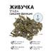 PHYTOAPTHECARIAN Vyzheyka grass 1 kg