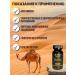 Capsules Shafiya Camel Milk and Urina - Buy Online on GoSupps.com