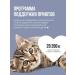 BOWL WOW Dry food for kittens with turkey chicken and blueberry 1.5 kg - Buy Online on GoSupps.com