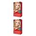 Revlon Colorsilk paint tone 73 Shampan blond 2 pcs