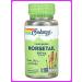Solaray True herbs horsetail 880 mg 100 capsules