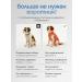 SHANTAL PETS Postoperative Popona for Dogs and Cats - Buy Online on GoSupps.com