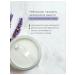 WHITE SABLE eco Natural soda deodorant paste lavender - Buy Online on GoSupps.com