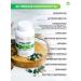 Art Life Green Star Spirulin - Buy Online on GoSupps.com