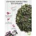 Herbs and teas of Crimea Oregano dried Crimean oregano - Buy Online on GoSupps.com