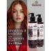 RECOELITIER PROFESSIONAL Shampoo and balm for dyed hair Salusfant 400 ml