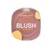VIVIENNE SABO Matte blush for the face of Blush Visage Mat Macaron tone 04 5g