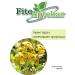PHYTOAPTHECARIAN Tansy grass 250 g - Buy Online on GoSupps.com