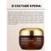 Skin627 Moisturizing face cream with ceramides and panthenol - Buy Online on GoSupps.com