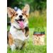 Titbit Dog treating dietary crunch - soft packaging - Buy Online on GoSupps.com