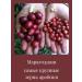 Spades-Coffee Coffee in grains of maragodzhip Nicaragua freshly -growed 1 kg - Buy Online on GoSupps.com