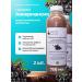 Health by Jonas Damkus Akkermansia oatmeal with an elderberry 750 ml 2 pcs