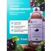 Health by Jonas Damkus Akkermansia oat drink with Aronia 750 ml 3 pcs