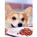 Titbit Dog treating marmalade meat assorted 120 g - Buy Online on GoSupps.com