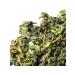 TEA CAT Tea ulong teas yin yin with cuttings 250g - Buy Online on GoSupps.com