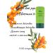 Living cosmetics from Siberia Hand cream with sea buckthorn oil - Buy Online on GoSupps.com