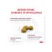 ROYAL CANIN Dry food for cats Renal 350 grams - Buy Online on GoSupps.com