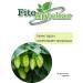 PHYTOAPTHECARIAN Hops of cones 250 gr - Buy Online on GoSupps.com
