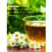 HIT FIT Chamomile with mint green tea 500g - Buy Online on GoSupps.com