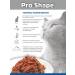 ProShape Wet food for elderly cats 28pcs of 75 g turkey in sauce - Buy Online on GoSupps.com