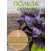Foodarmenia Basil Dried purple Armenia large leaves set 5 pcs - Buy Online on GoSupps.com